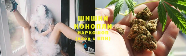 стафф Нефтекумск
