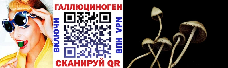 Псилоцибиновые грибы MAGIC MUSHROOMS  гидра как войти  shop как зайти  купить наркотики цена  Ишимбай 